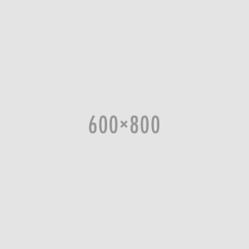 600X800