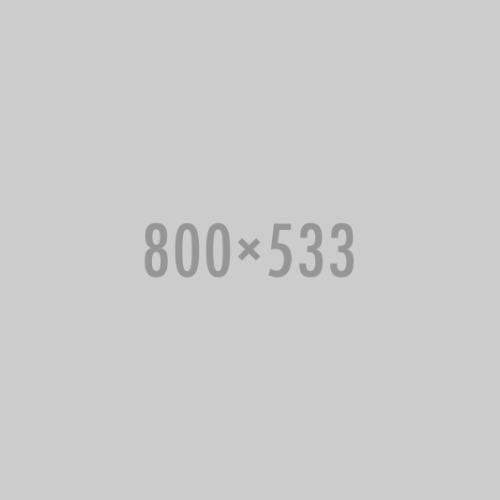 800×533